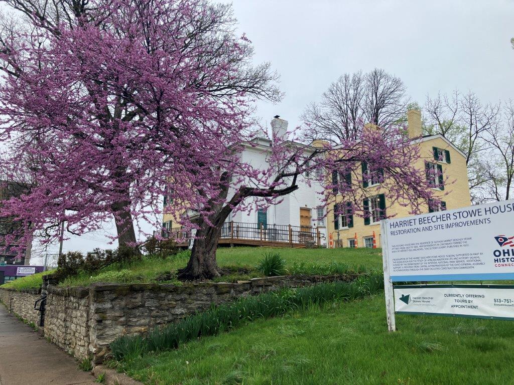 Picture of outside of the Harriett Beecher Stowe house with a purple flowering tree in the front right.