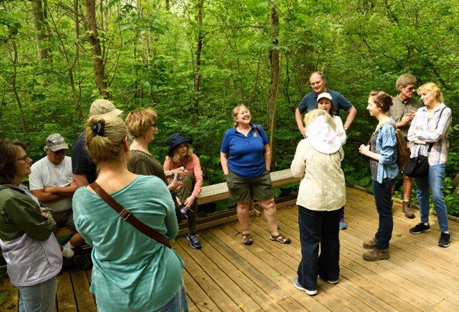 A group of people standing on a wooden boardwalk in a forseted area listening to a person give a tour.