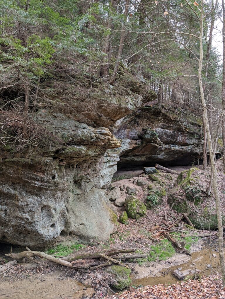 I small uneven cliff face covered with trees.