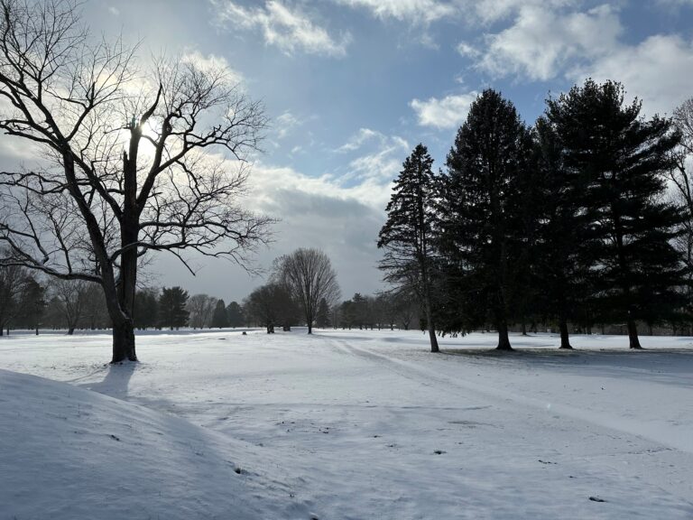 Snowy landscape with earthworks and trees.