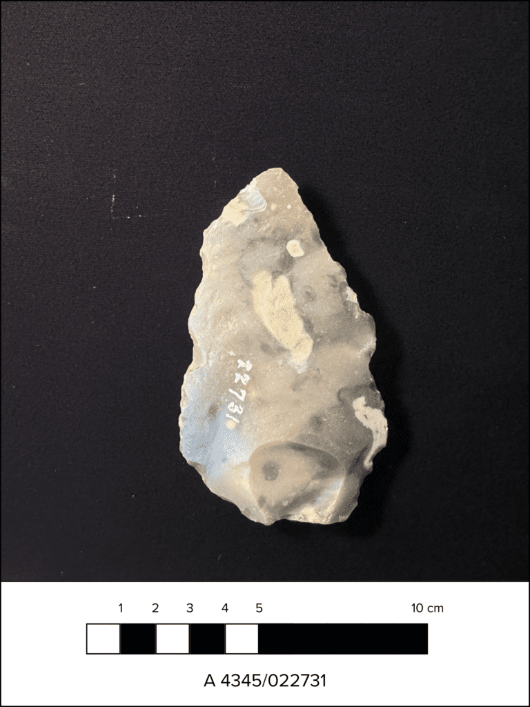 A roughly triangular mottled gray flake of flint