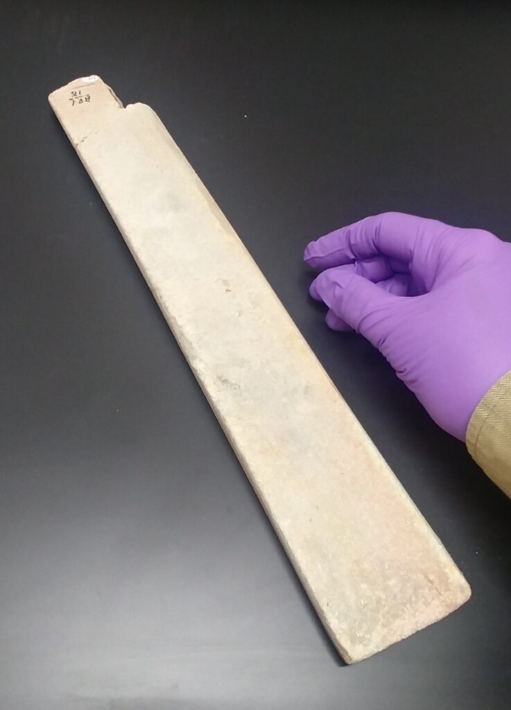 A gloved hand next to a specimen of flexible sandstone.