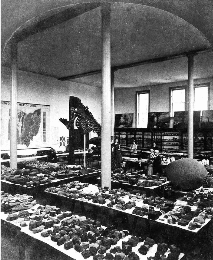 Grainy black and white photograph of geological specimens laid out in cases